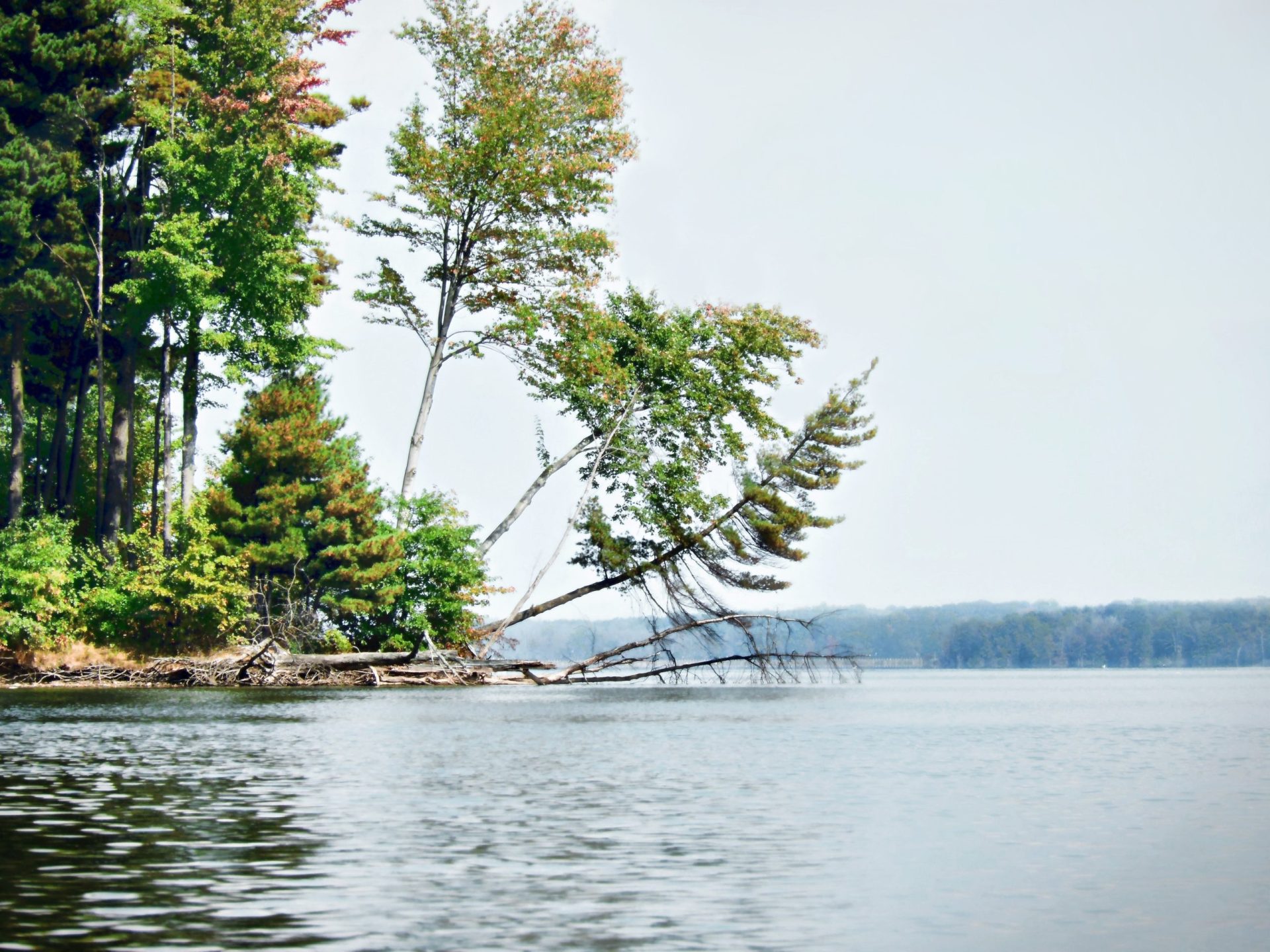 How Is the Fishing at Pymatuning Lake? Trickyfish