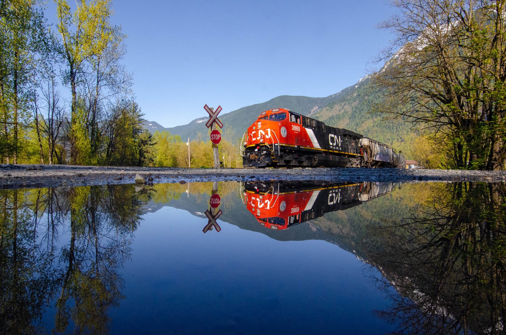 Is Rosedale Lake Open for Fishing? Trickyfish