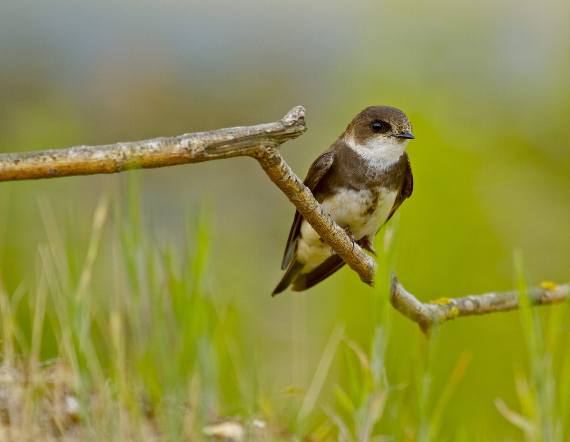 Is Sand Lake a Good Fishing Lake? Trickyfish