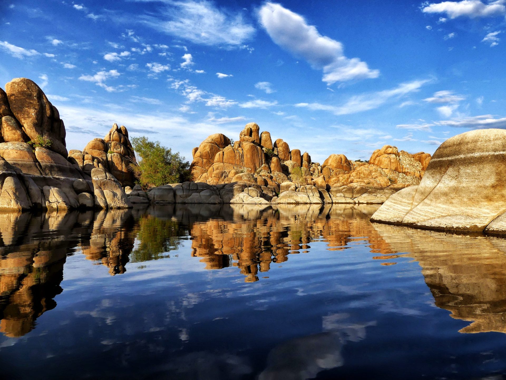 Is Fishing Good at Watson Lake? Trickyfish