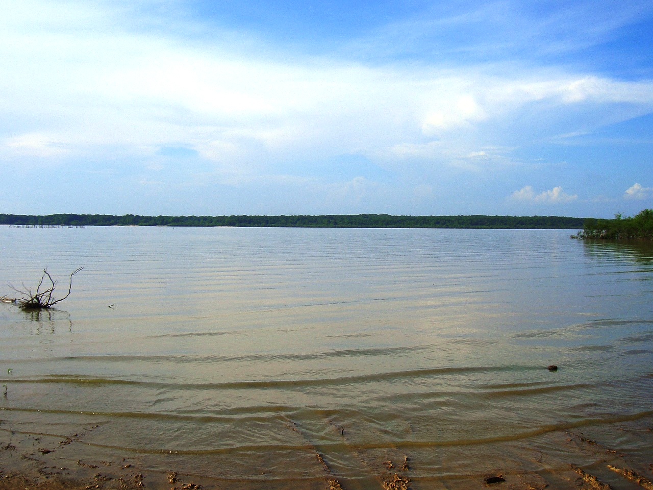 Is Arkabutla Lake Open for Fishing? Trickyfish