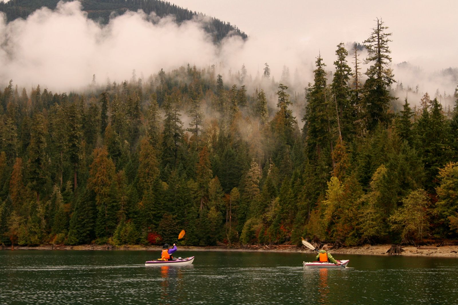 How Is the Fishing at Baker Lake? Trickyfish