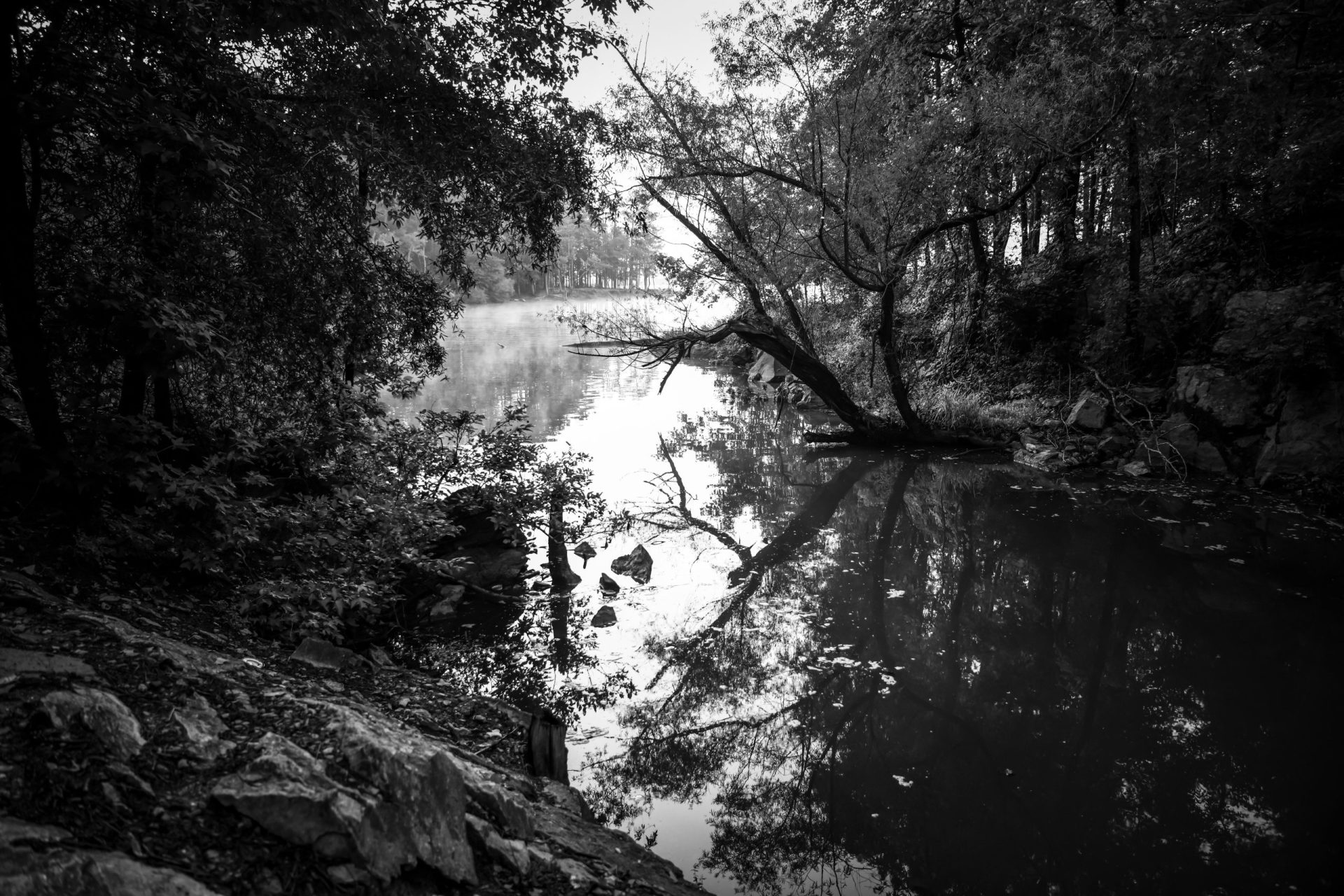 Does Bass Pro Shop Have Fly Fishing Lessons? Trickyfish