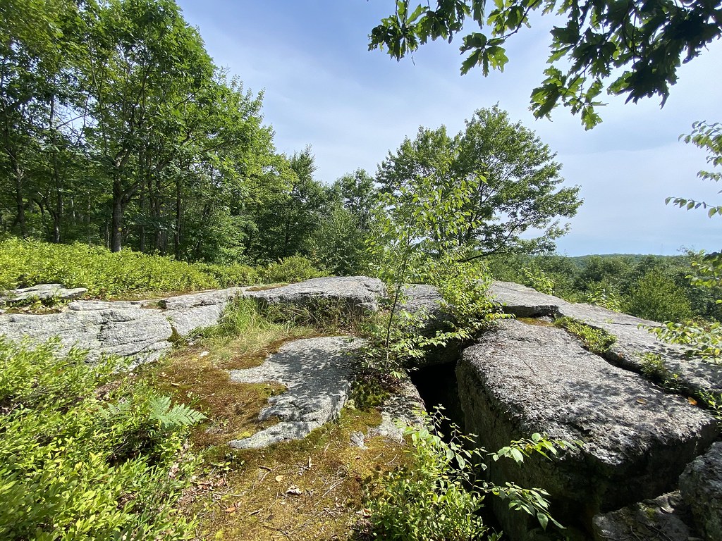 Is Bear Creek Lake Open for Fishing? Trickyfish