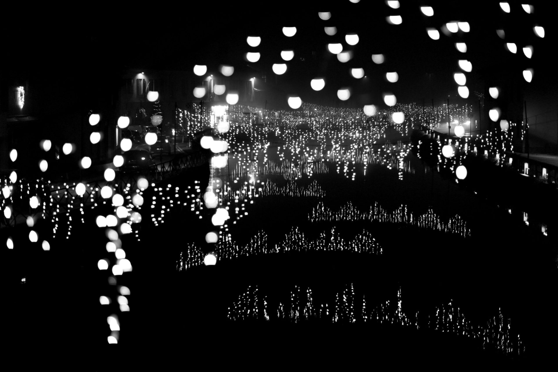 Which Fishing Line Glows Under Black Light? Trickyfish