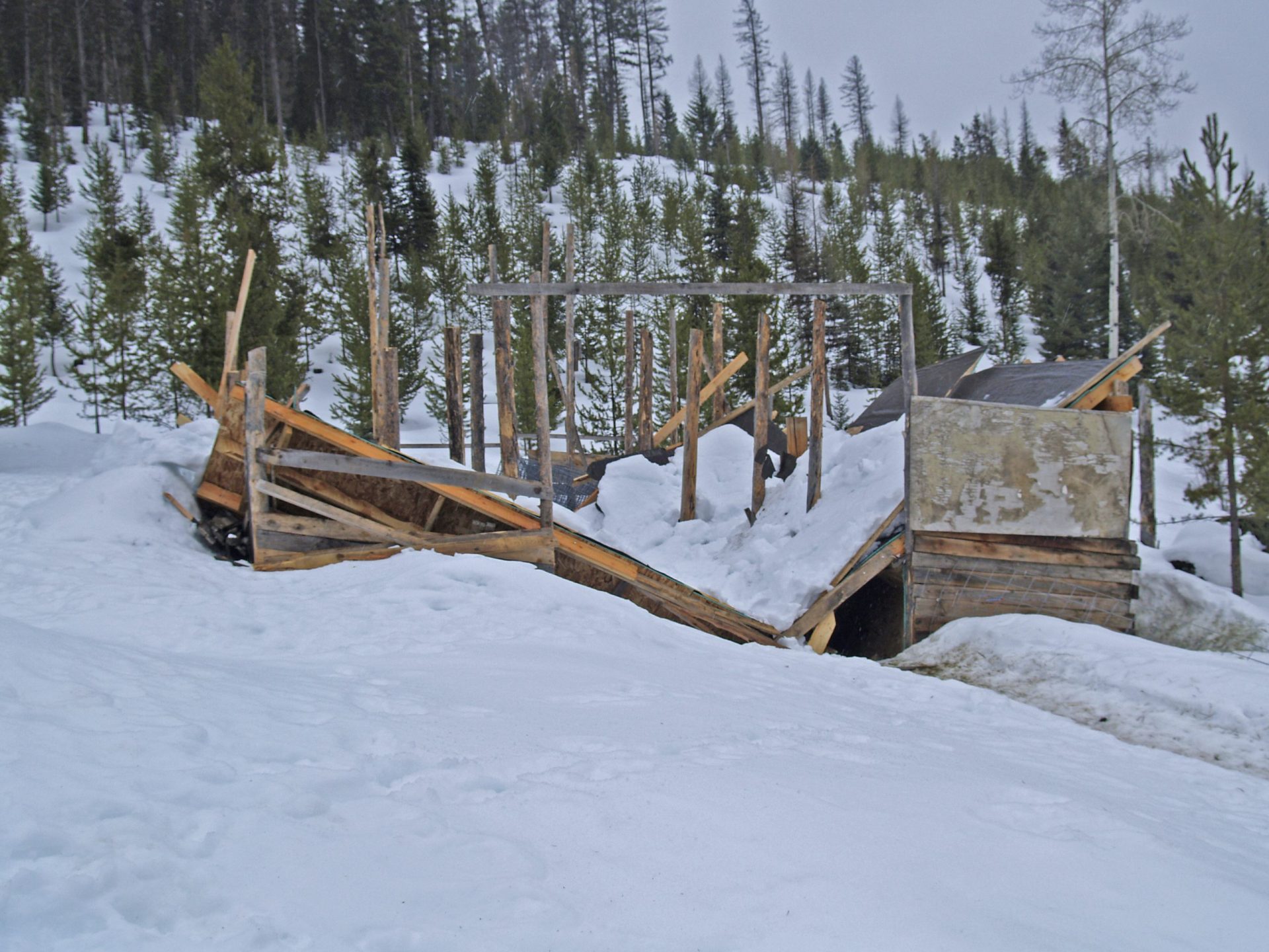 What Does Breaking Strain Mean on Fishing Line? Trickyfish