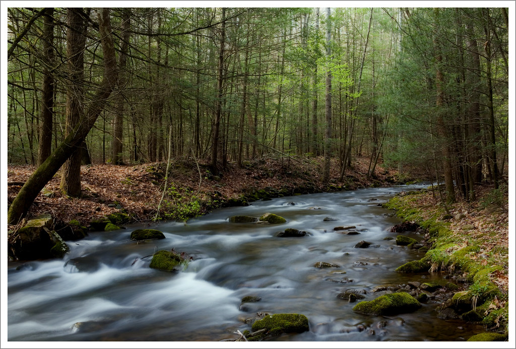 How Is the Fishing at Briery Creek Lake? Trickyfish