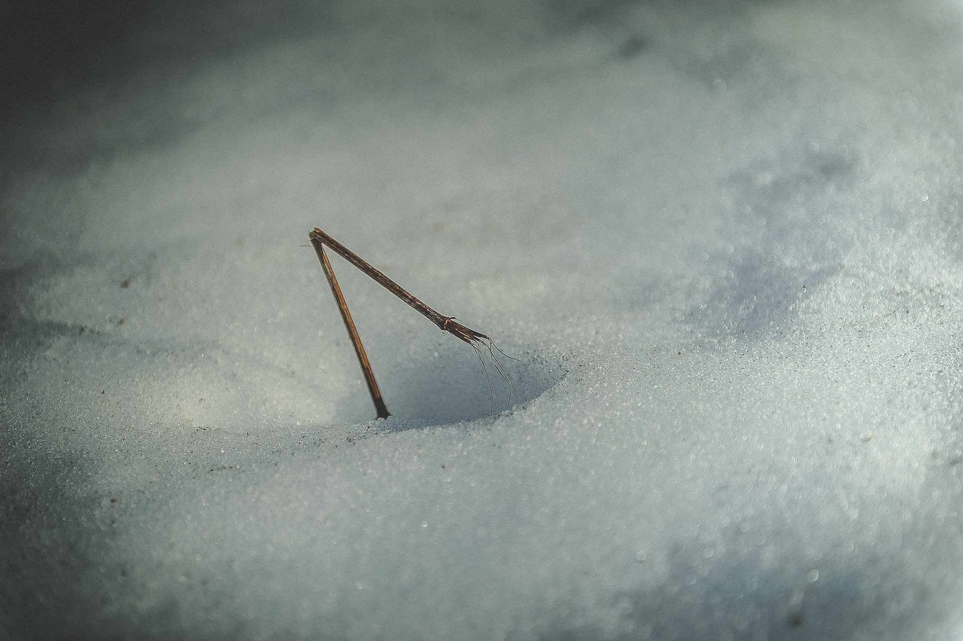 Is There a Way to Fix a Snapped Fishing Rod? Trickyfish