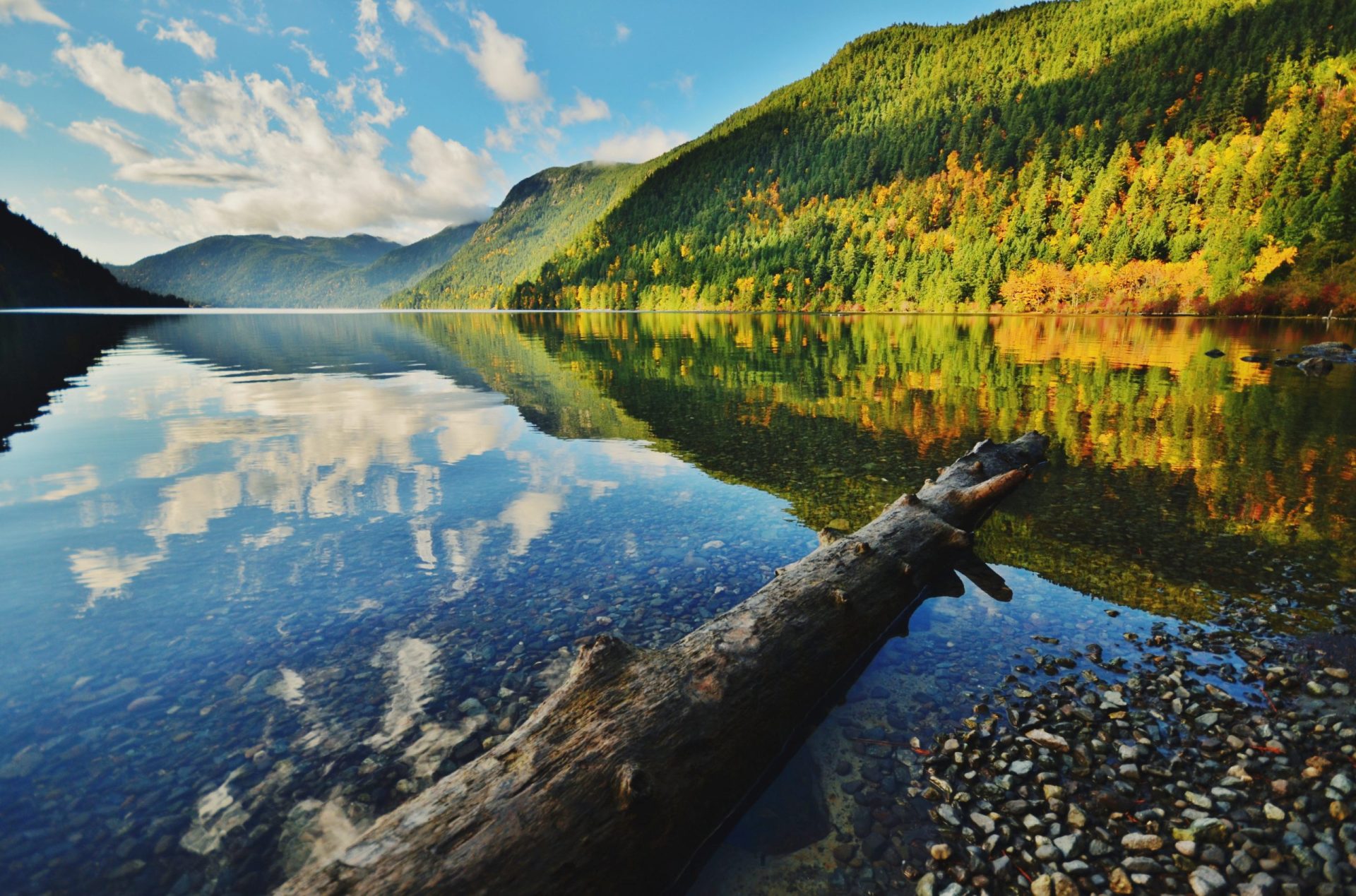 Is Cameron Lake Good for Fishing? Trickyfish