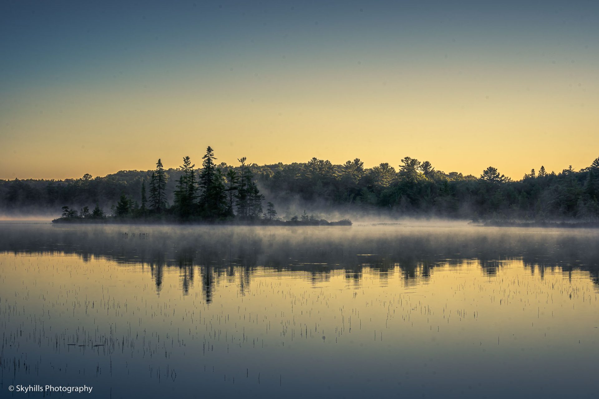 How Is the Fishing on Clearwater Lake? Trickyfish