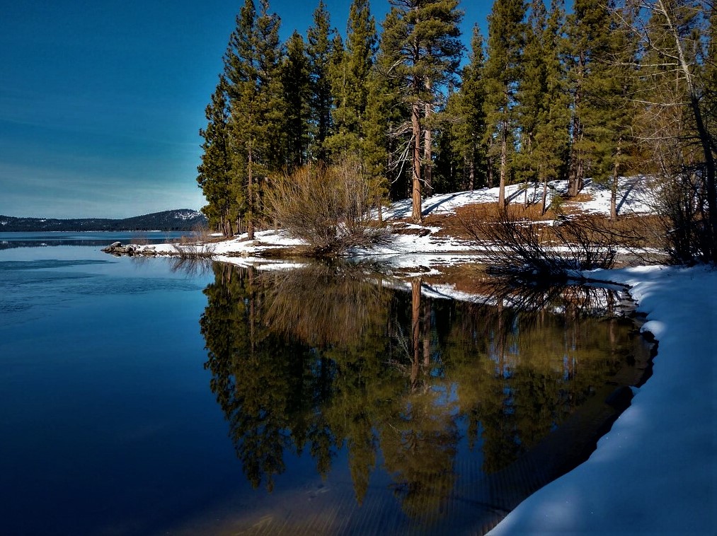 Is Davis Lake Open for Fishing? Trickyfish