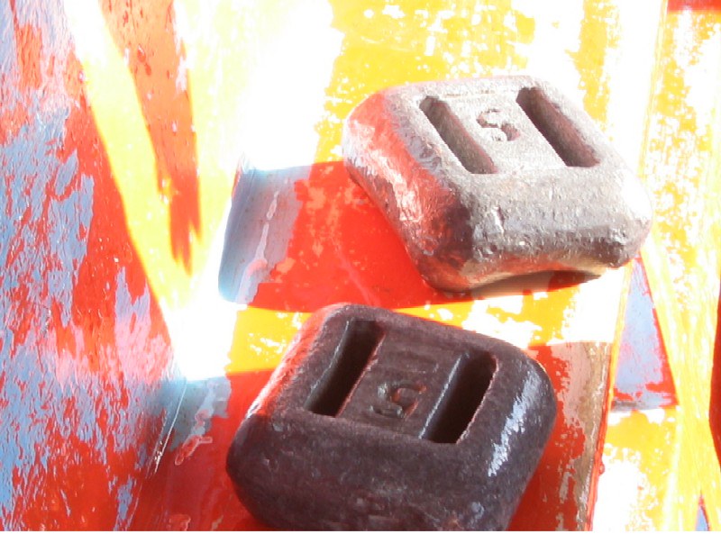 How Much Dive Weight Do I Need for Spearfishing? Trickyfish