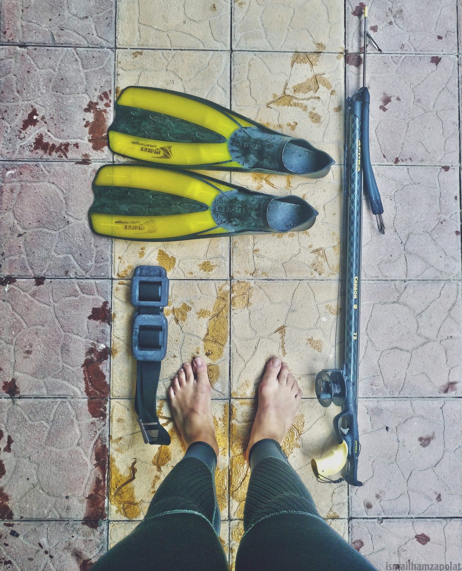 What Is Spear Spearfishing? Trickyfish