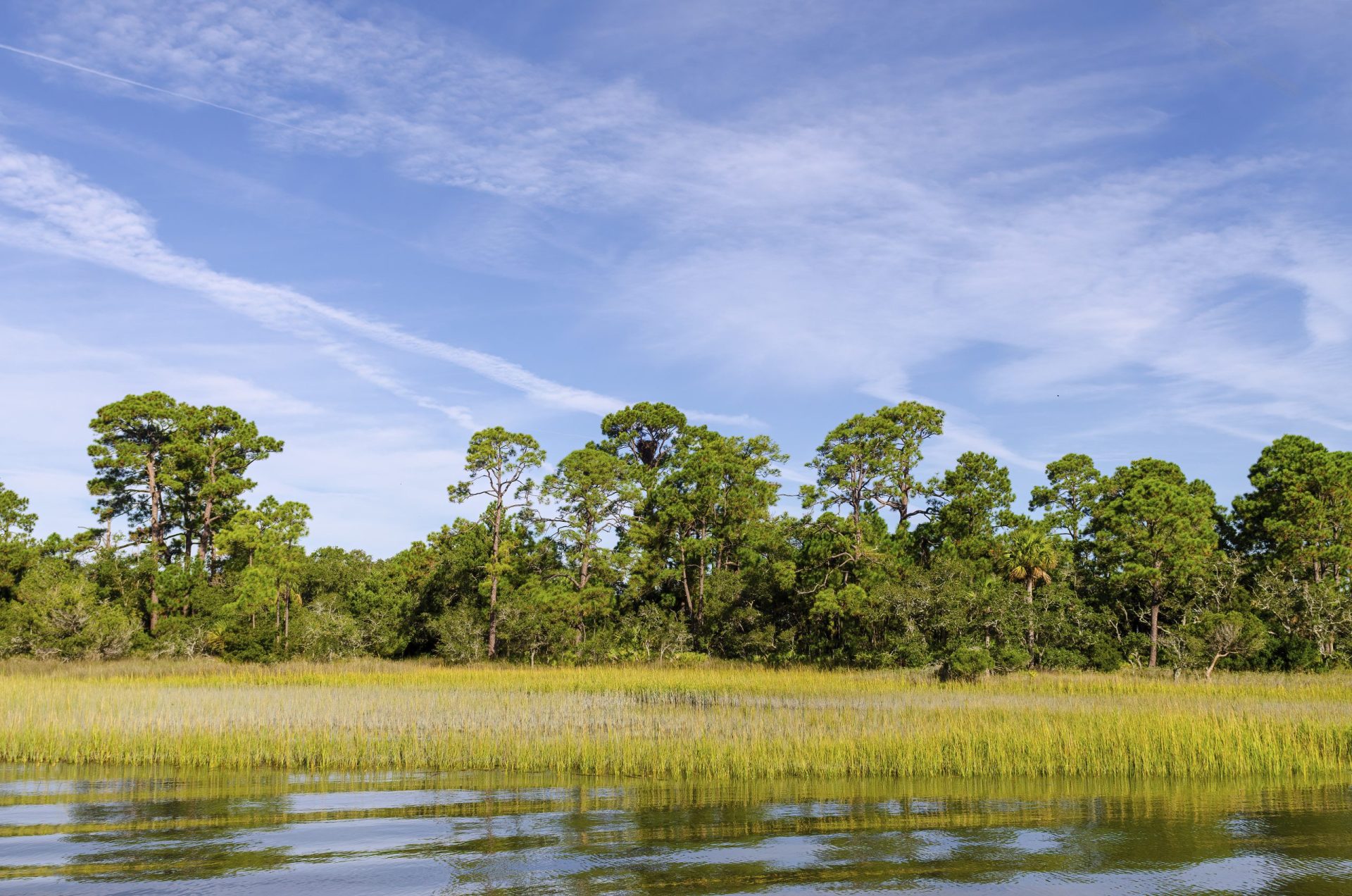 Is Eagle Nest Lake Open to Fishing? Trickyfish