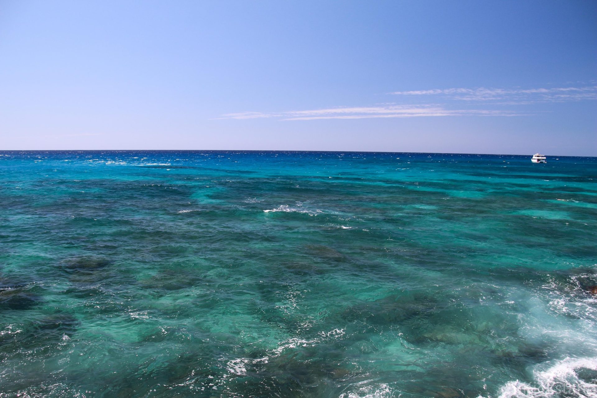 Is Electric Beach Safe for Snorkeling? Trickyfish