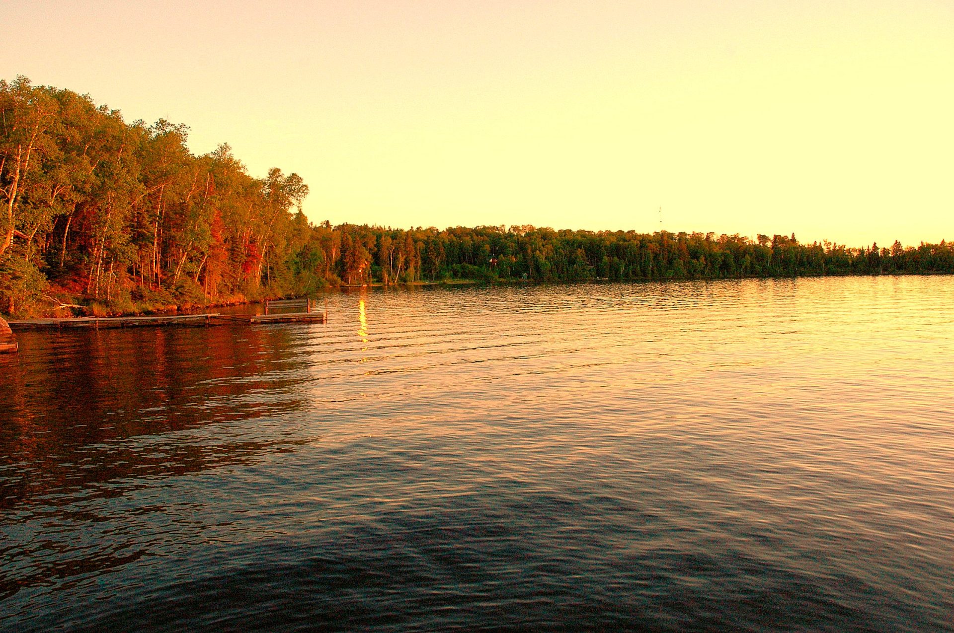 How Is the Fishing on Falcon Lake? Trickyfish