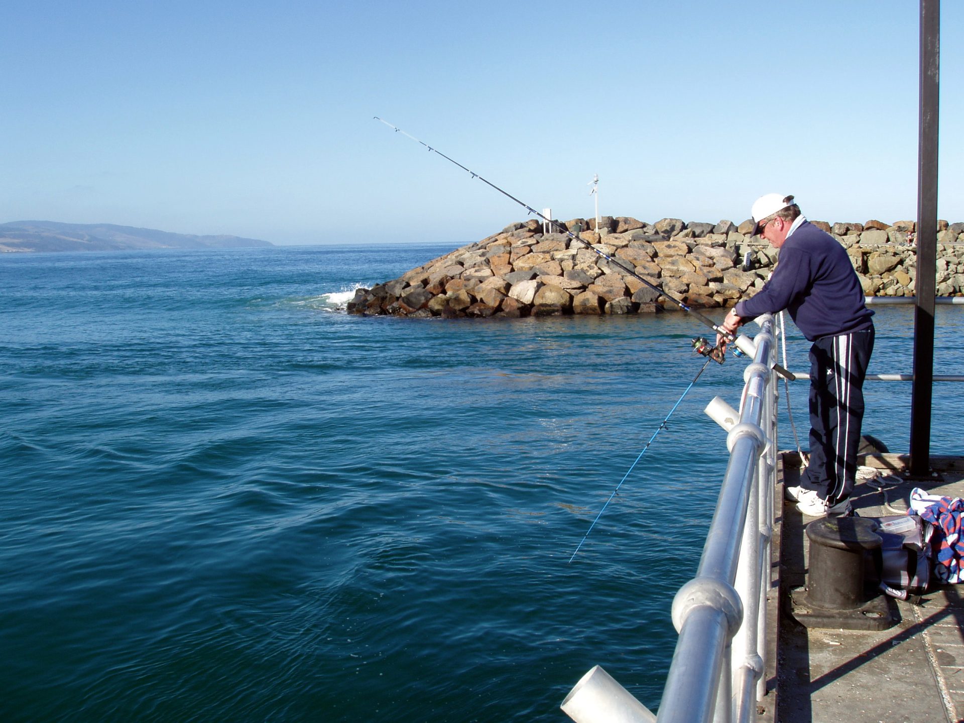 What Fish Can You Catch Fly Fishing Australia? Trickyfish