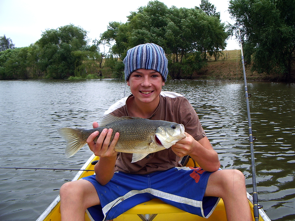 What Is a Spinner Fishing Rod? Trickyfish