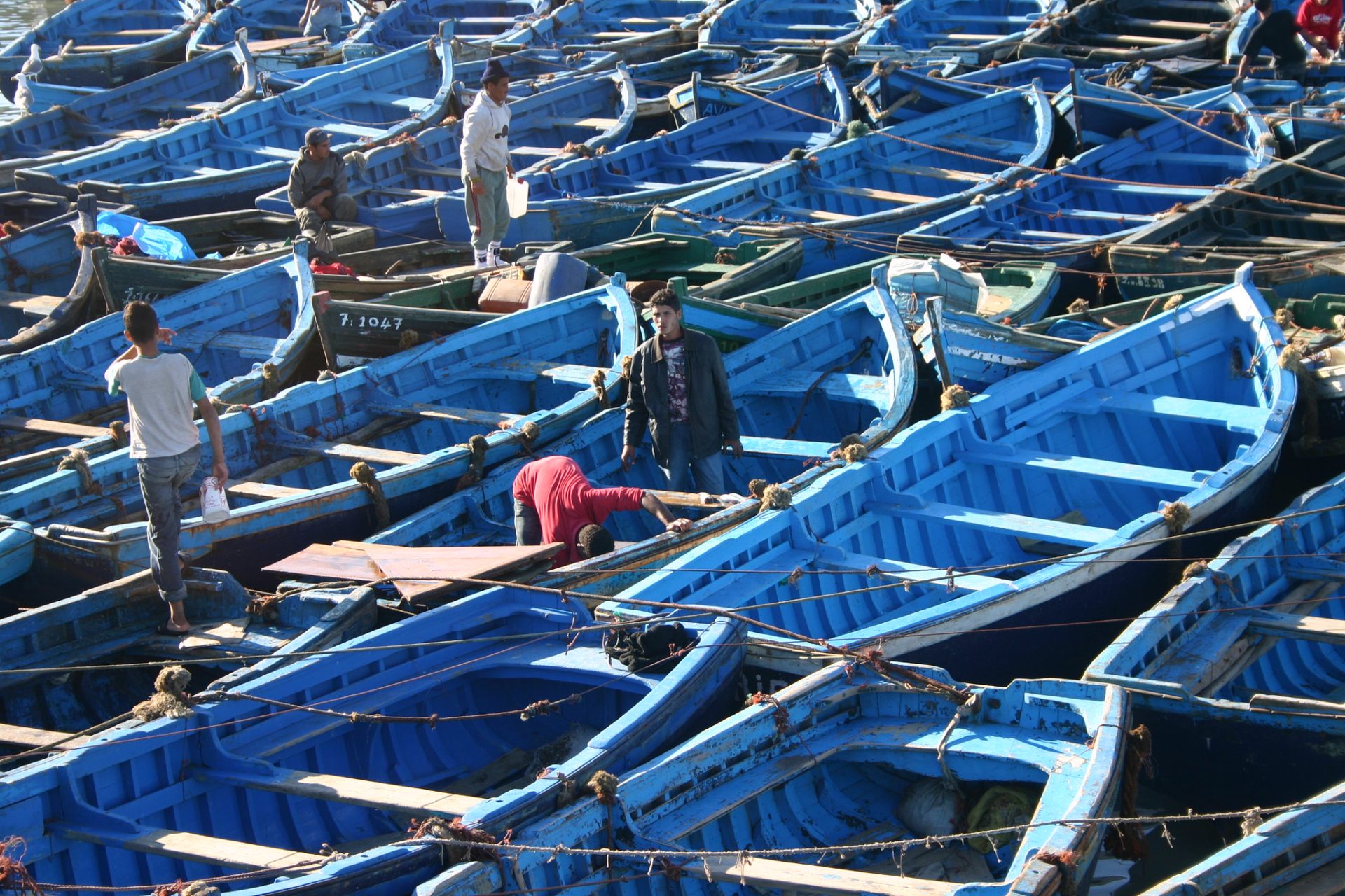 Why Does My Fishing Line Get Tangled on My Reel? Trickyfish