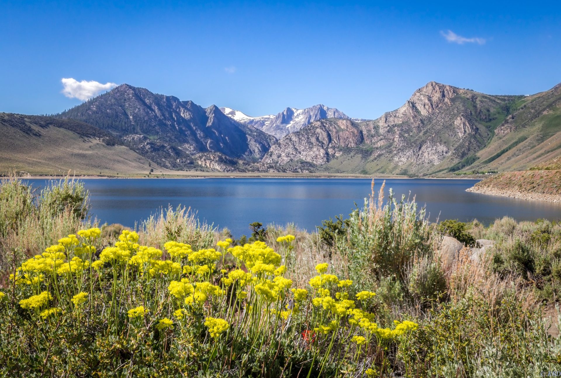 Is Grant Lake Open for Fishing? Trickyfish
