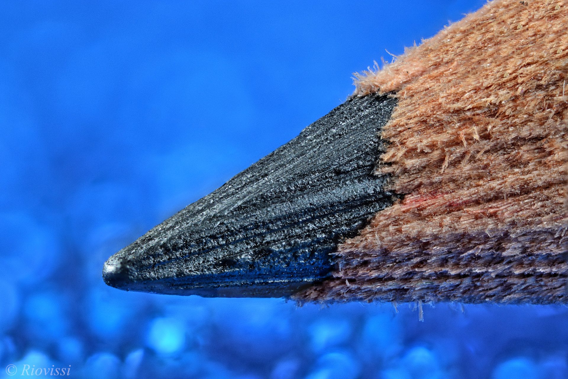 What's the Strongest Fishing Rod? Trickyfish