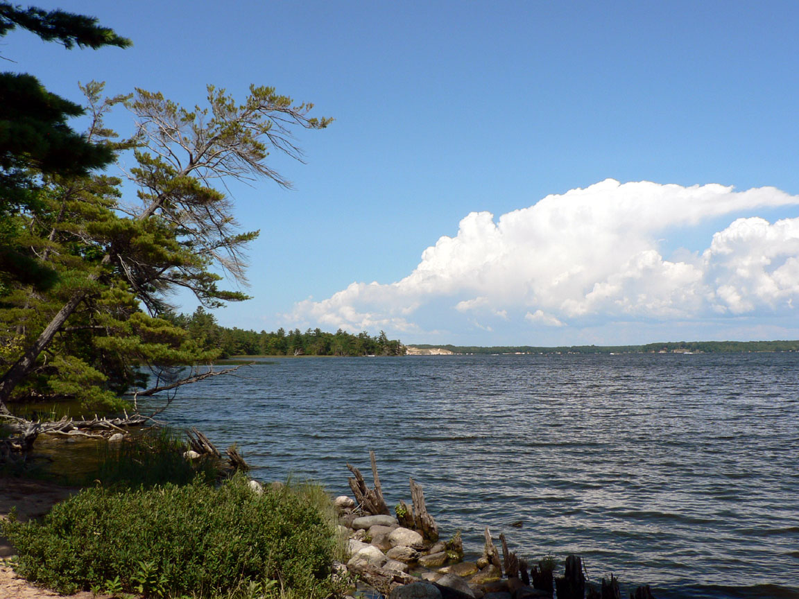 Is Hamlin Lake Good for Fishing? Trickyfish