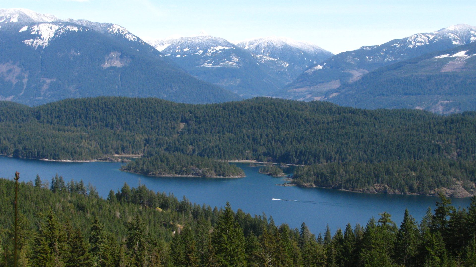 Is Harrison Lake Good for Fishing? Trickyfish