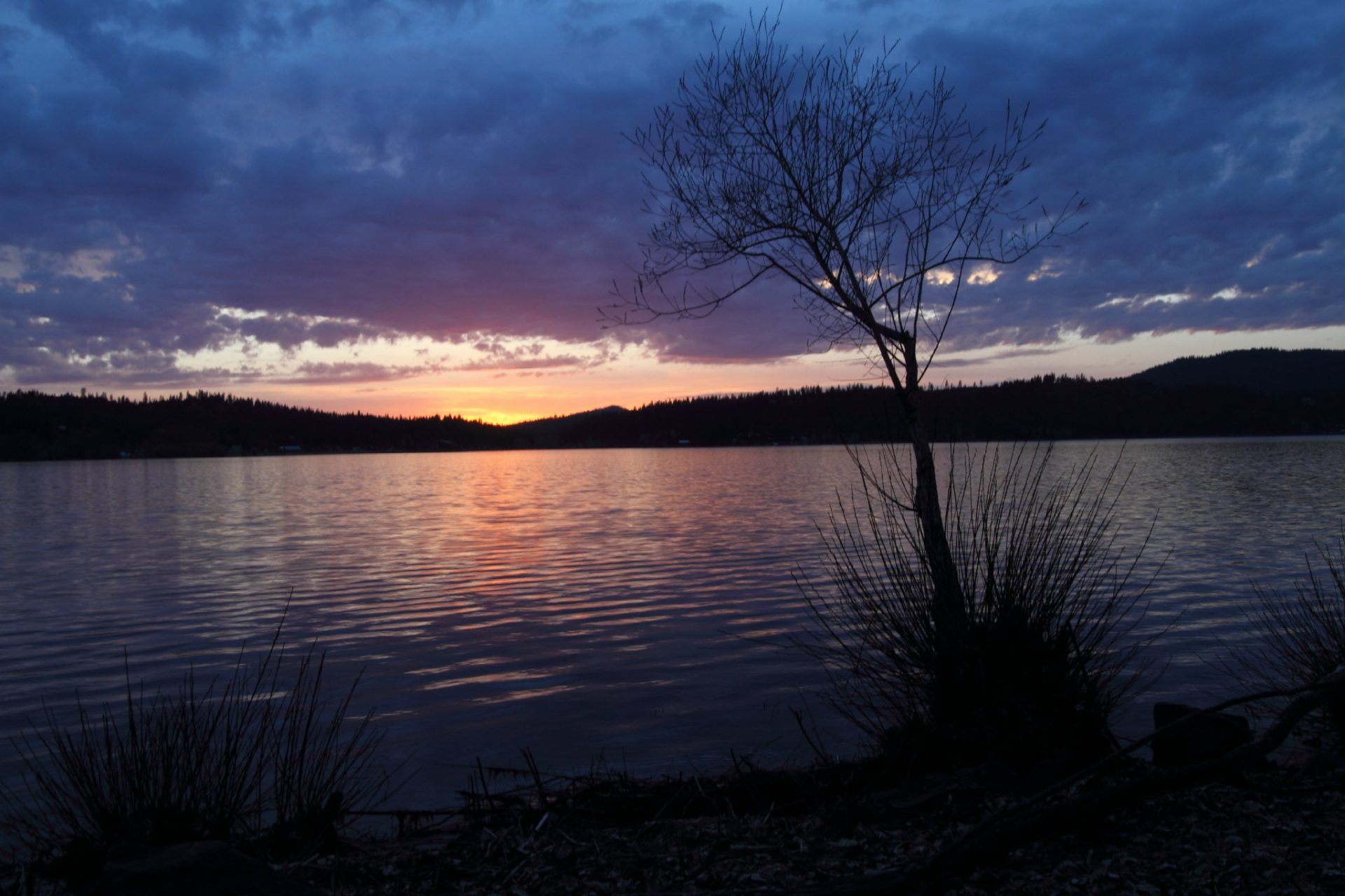 Is Hauser Lake Good Fishing? Trickyfish
