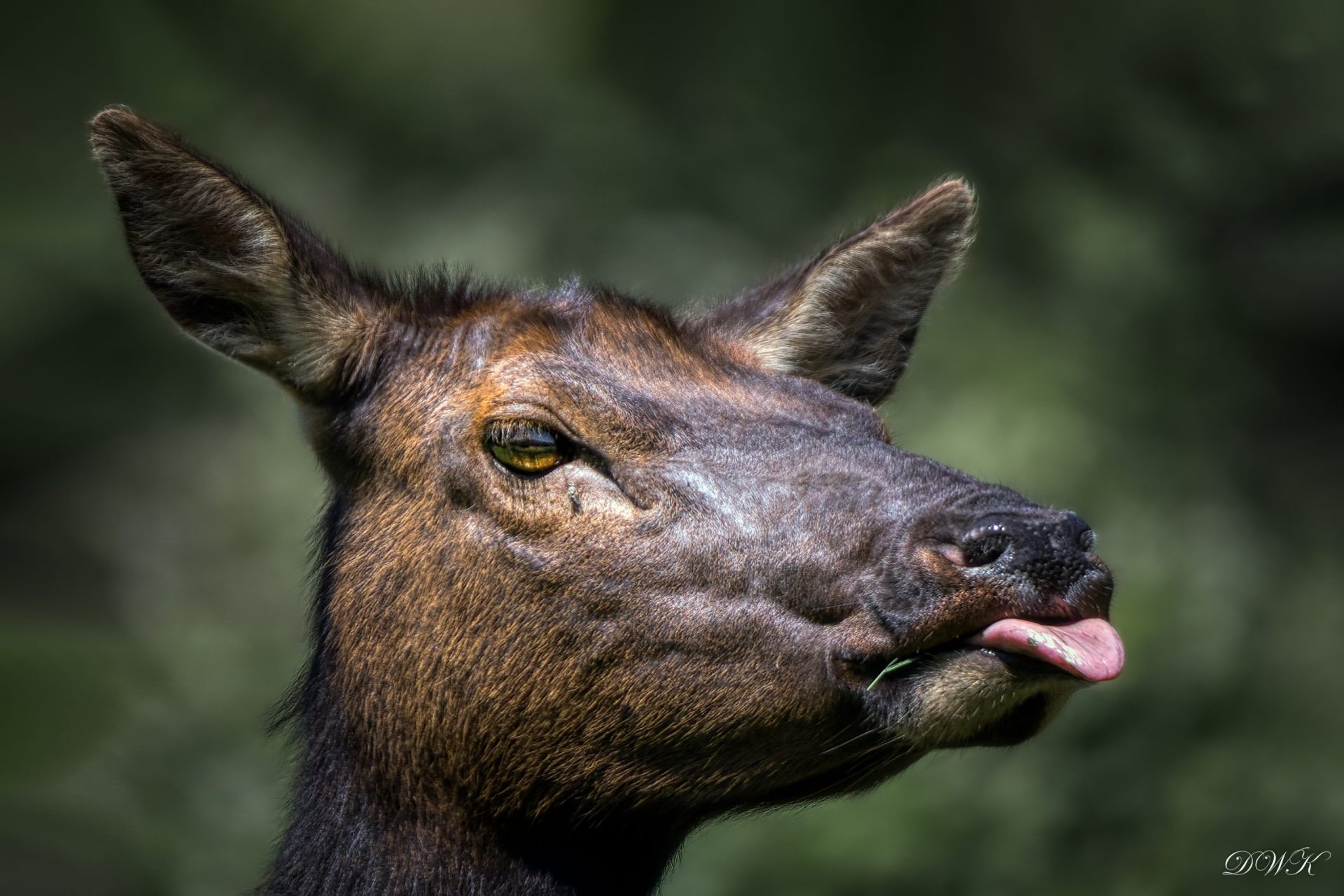 What Is the Difference in Fishing Line Weight? Trickyfish