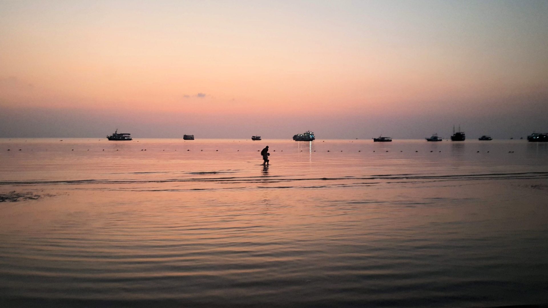Is Scuba Diving Safe in Koh Tao? Trickyfish