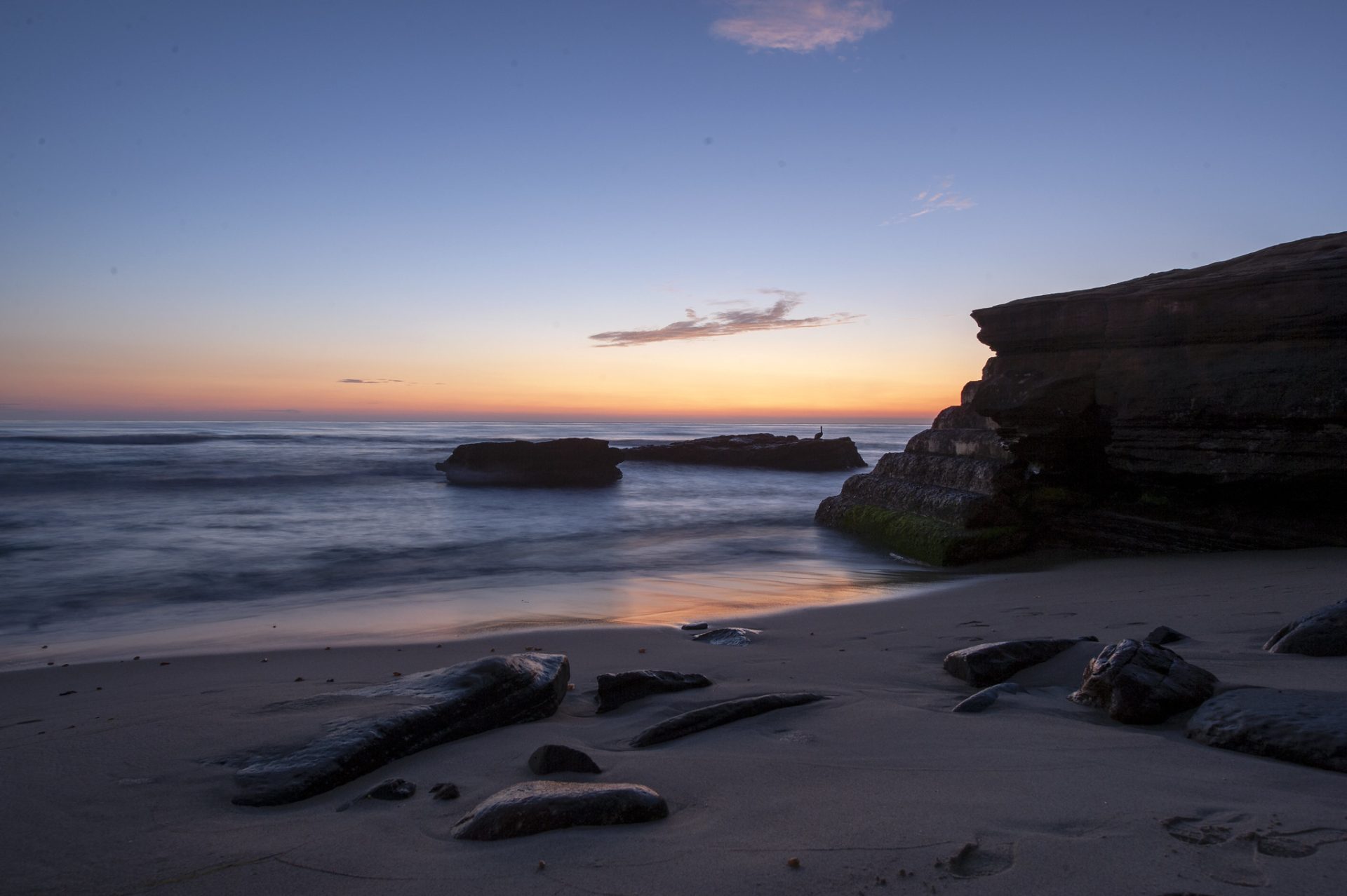 Is La Jolla Snorkeling Safe? Trickyfish