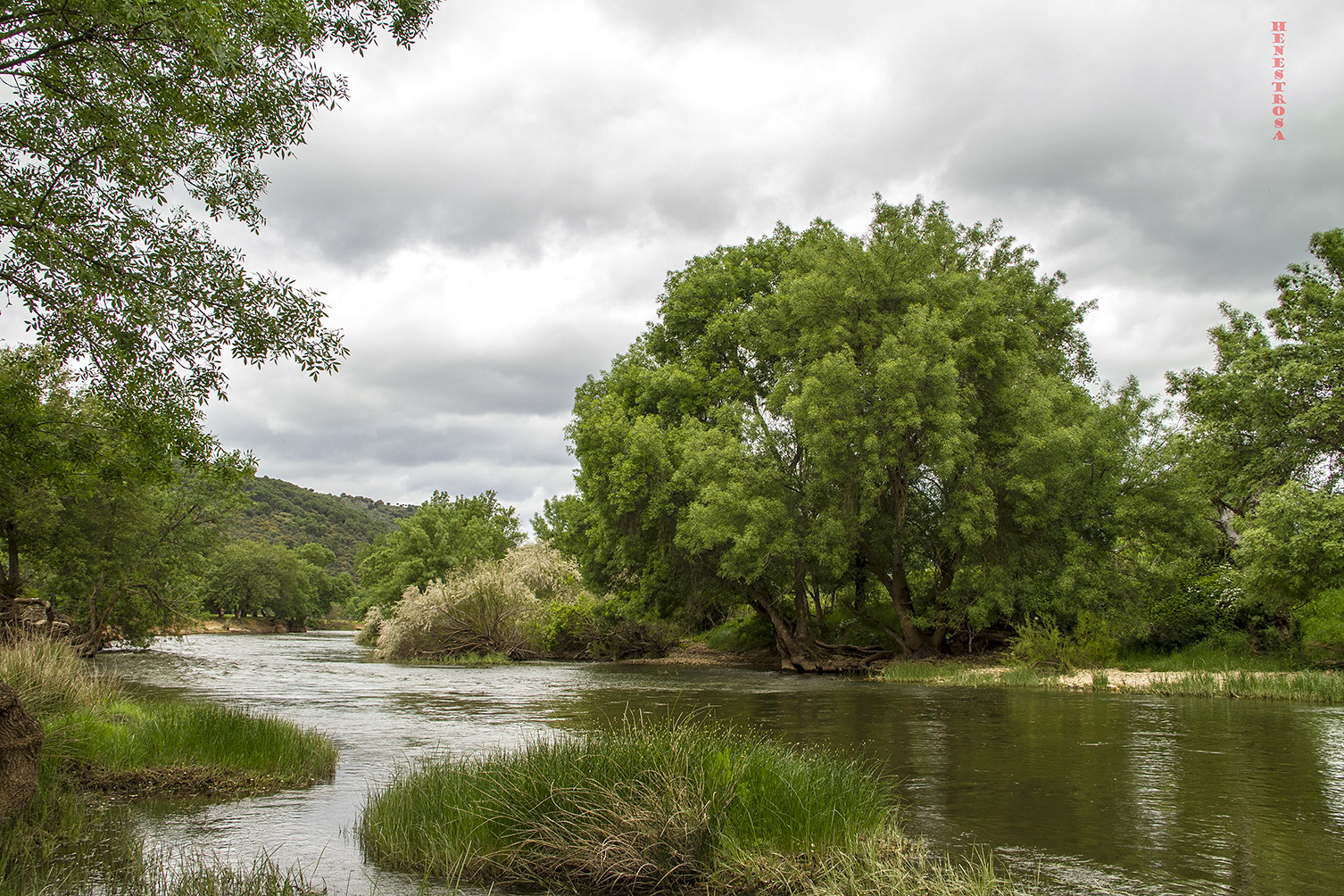 Is Lake Amistad Good Fishing? Trickyfish