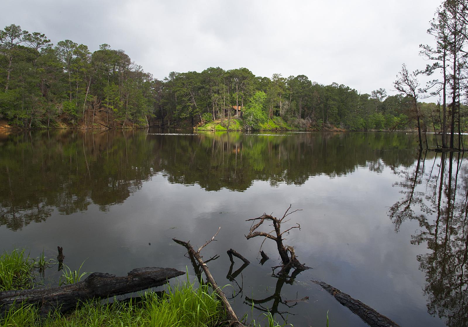 How Is the Fishing on Lake Bastrop? Trickyfish