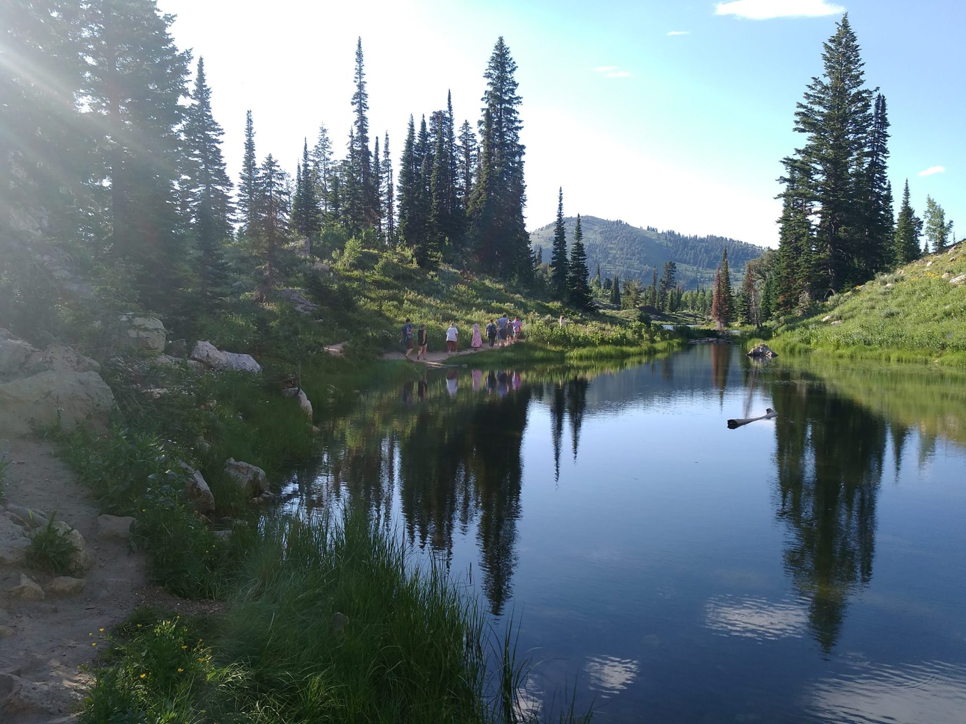 Is Lake Bloomington Open for Fishing? Trickyfish