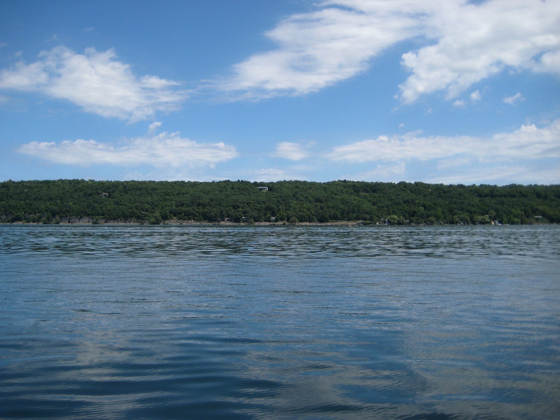 How Is the Fishing in Lake Cayuga? Trickyfish