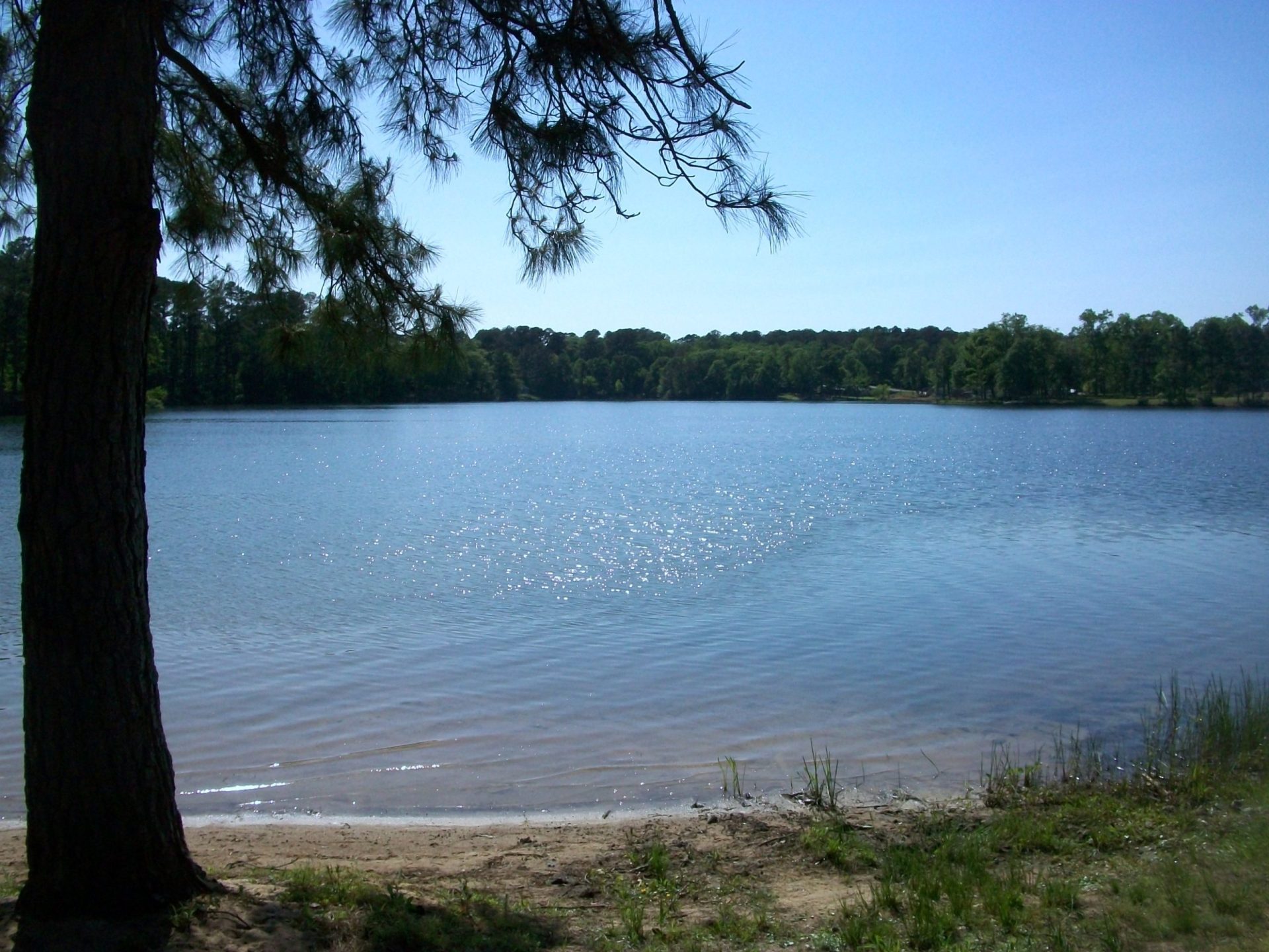 Where Is the Best Fishing in Lake Conroe? Trickyfish