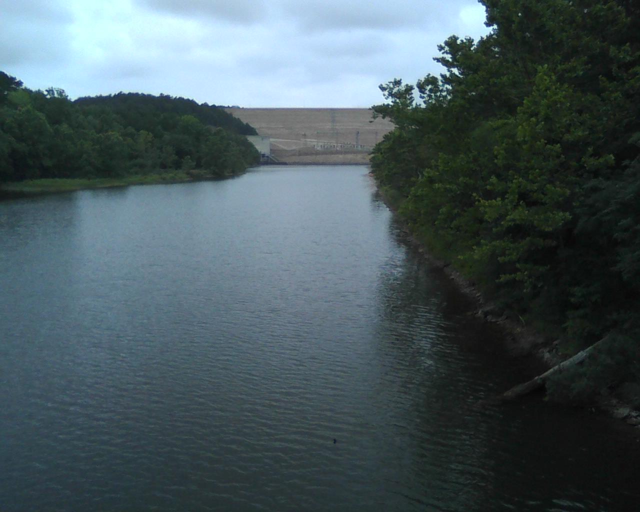 How Is the Fishing on Lake Greeson? Trickyfish
