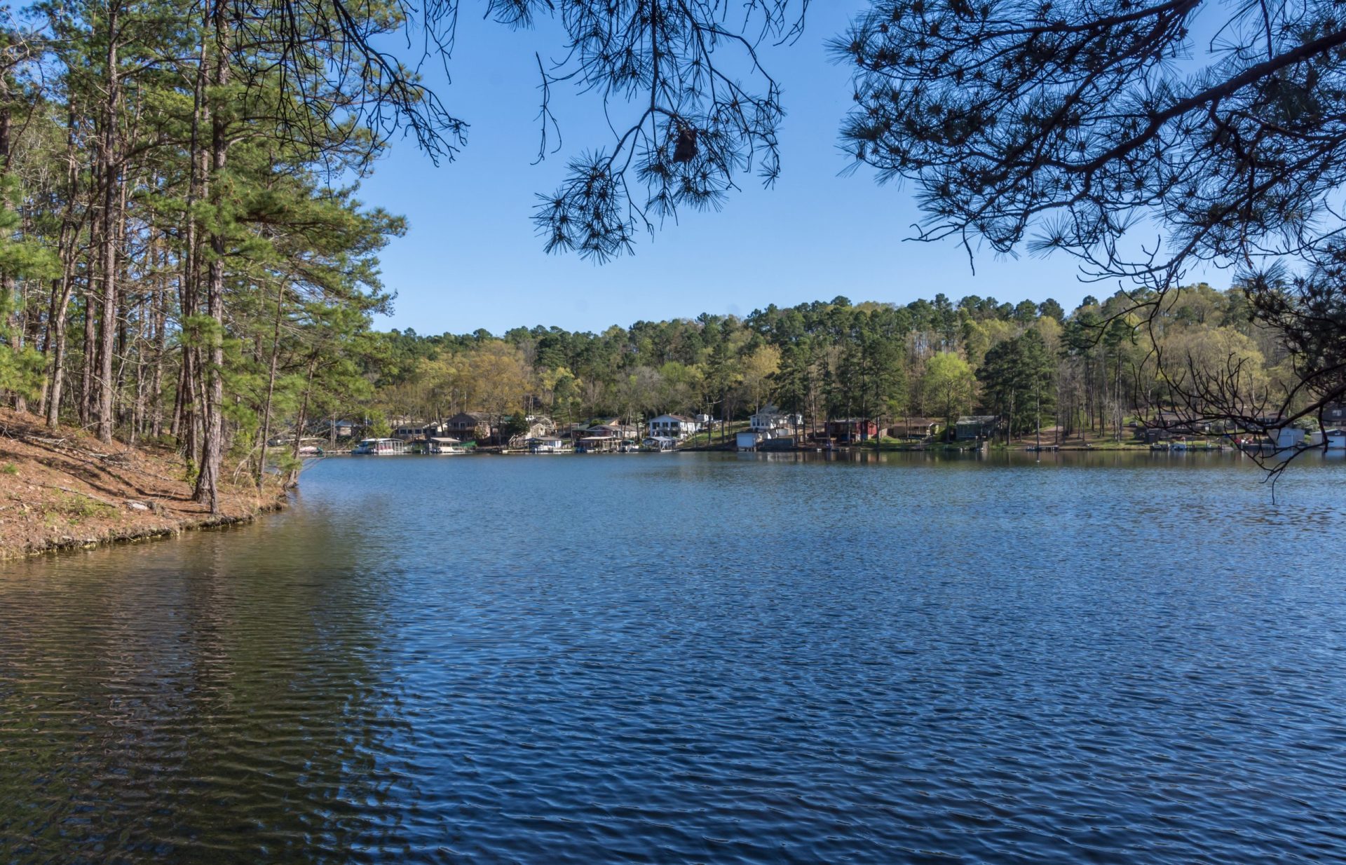 How Is the Fishing in Lake Hamilton? Trickyfish