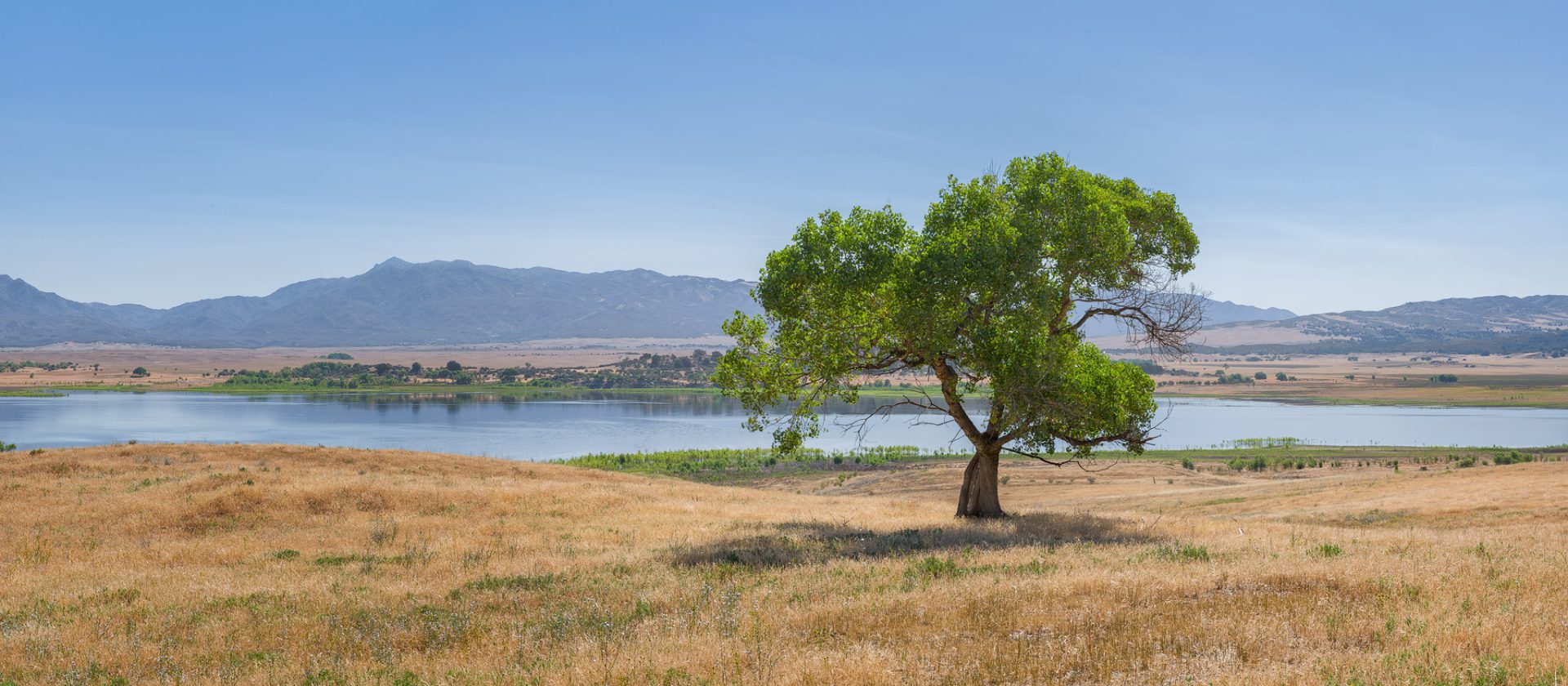 Is Lake Henshaw Open for Fishing? Trickyfish