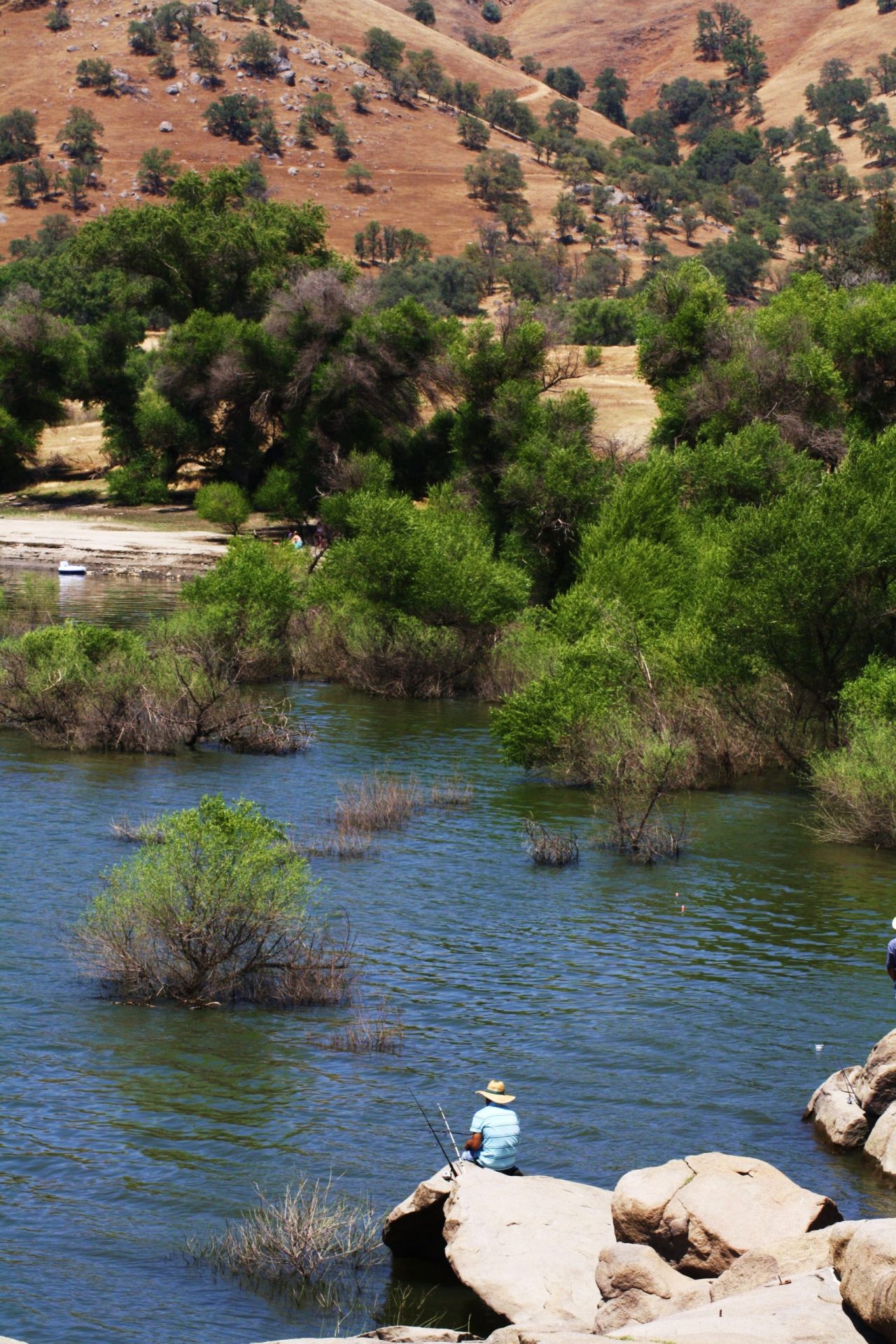 How Is the Fishing at Lake Kaweah? Trickyfish