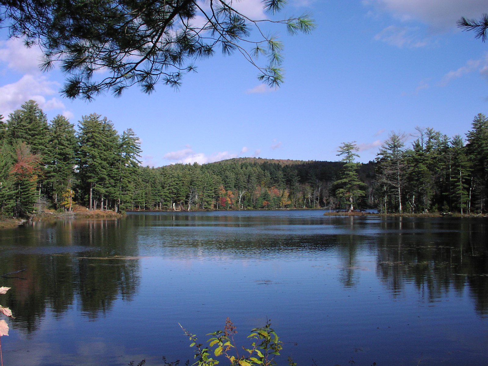 Is Lake Lowell Open for Fishing? Trickyfish