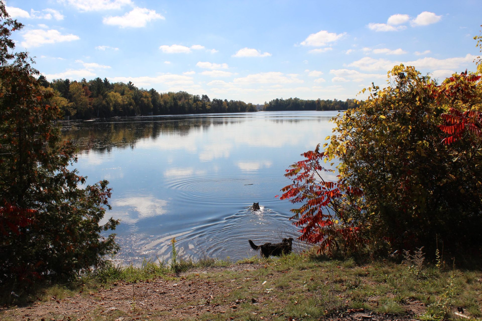 Is Lake Mitchell Good Fishing? Trickyfish