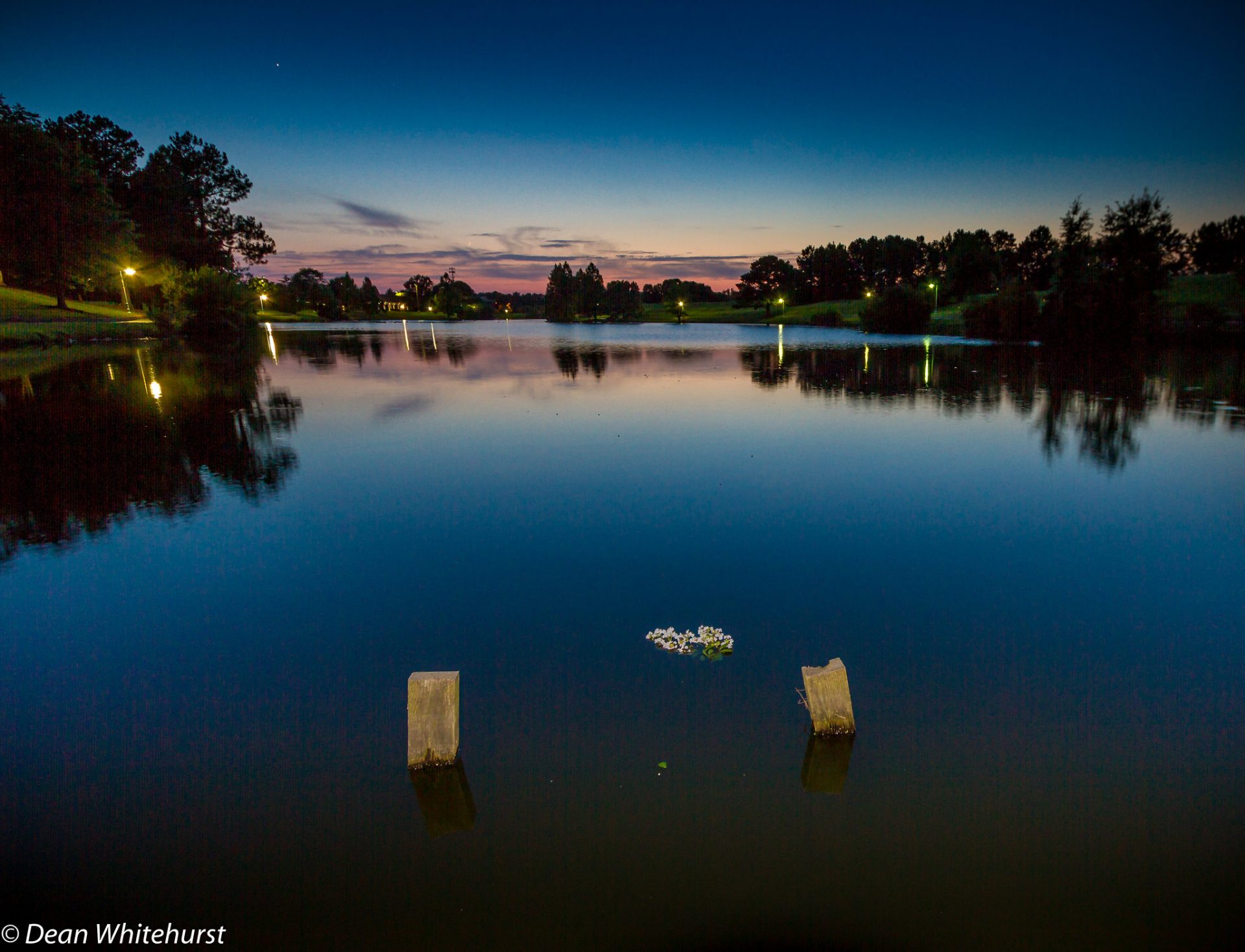 What Fishing Are in Lake Whitehurst Norfolk VA? Trickyfish