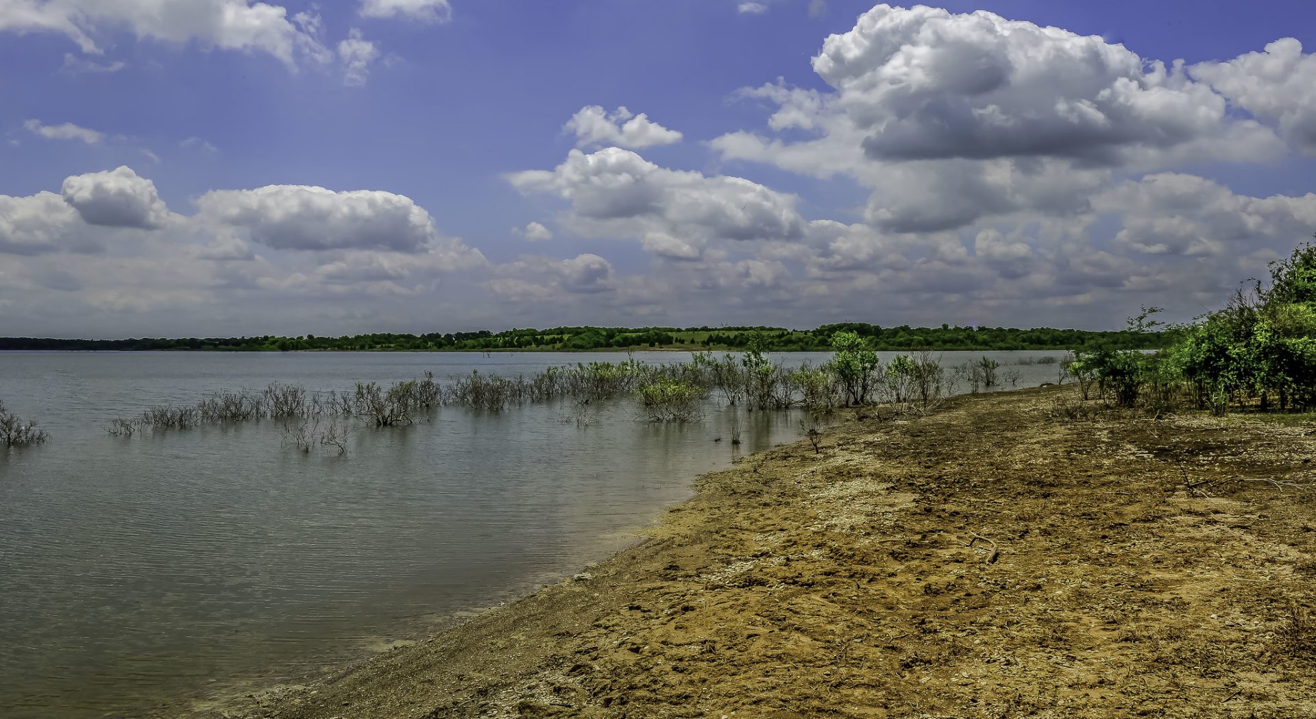 Is Lavon Lake Good for Fishing? Trickyfish