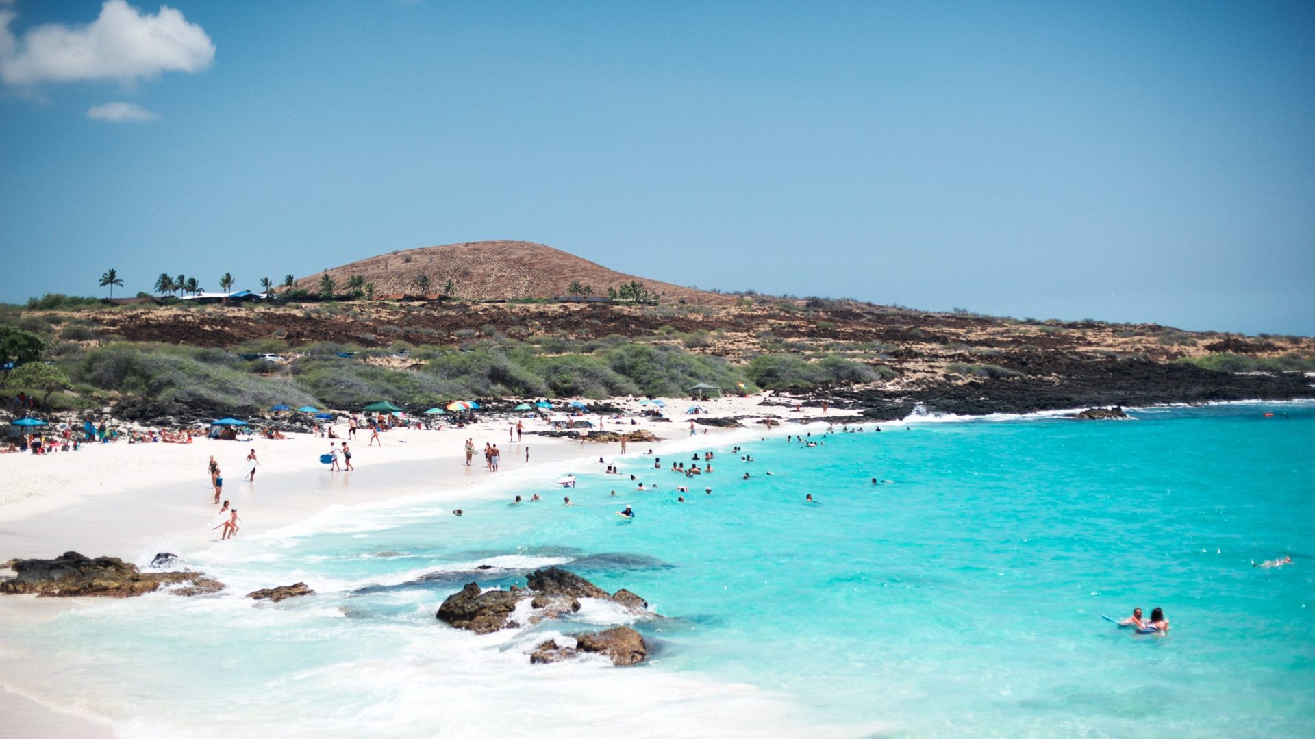 Is Manini Beach Good for Snorkeling? Trickyfish