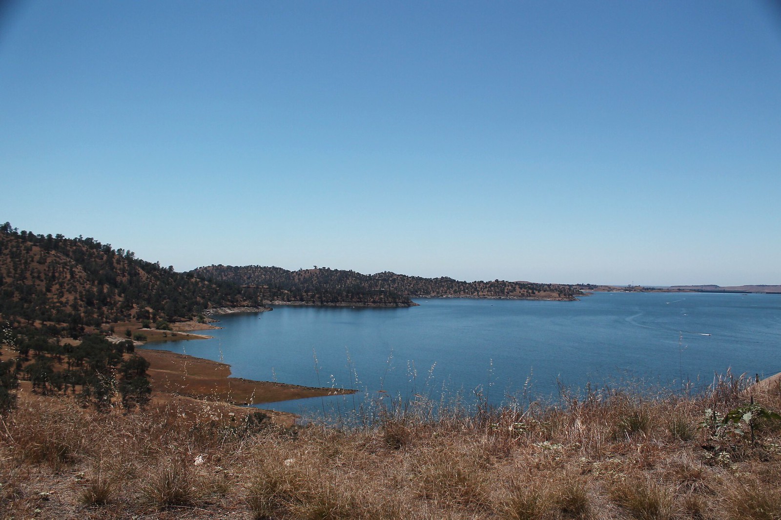 Do You Need a Fishing License at Millerton Lake? Trickyfish