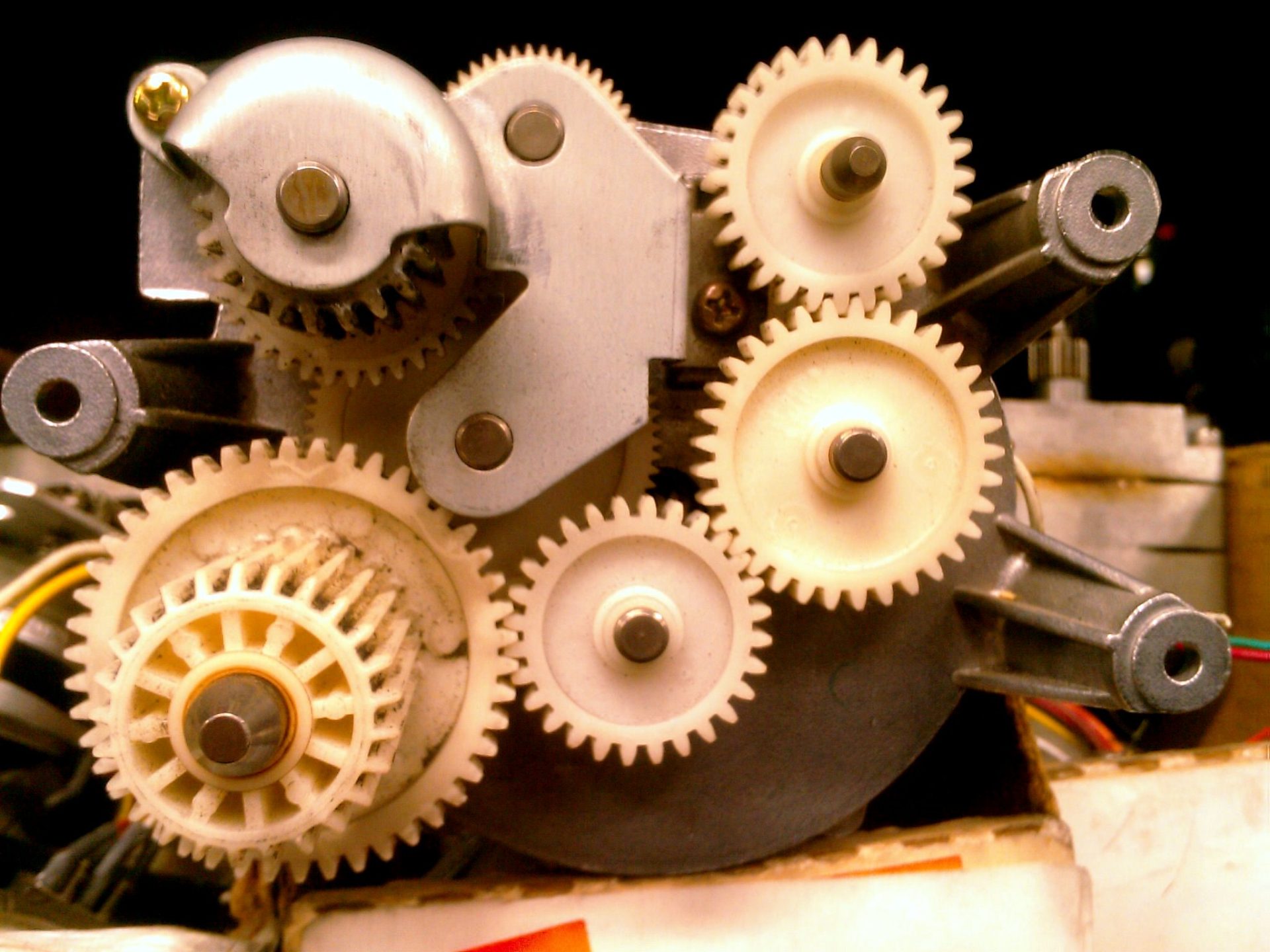 What Are Zingers for Fly Fishing? Trickyfish