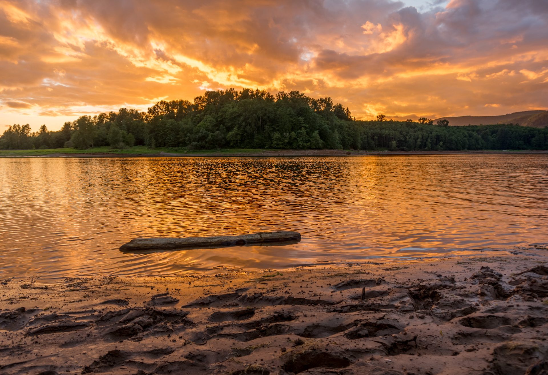 Is Fishing Open on Riffe Lake? Trickyfish