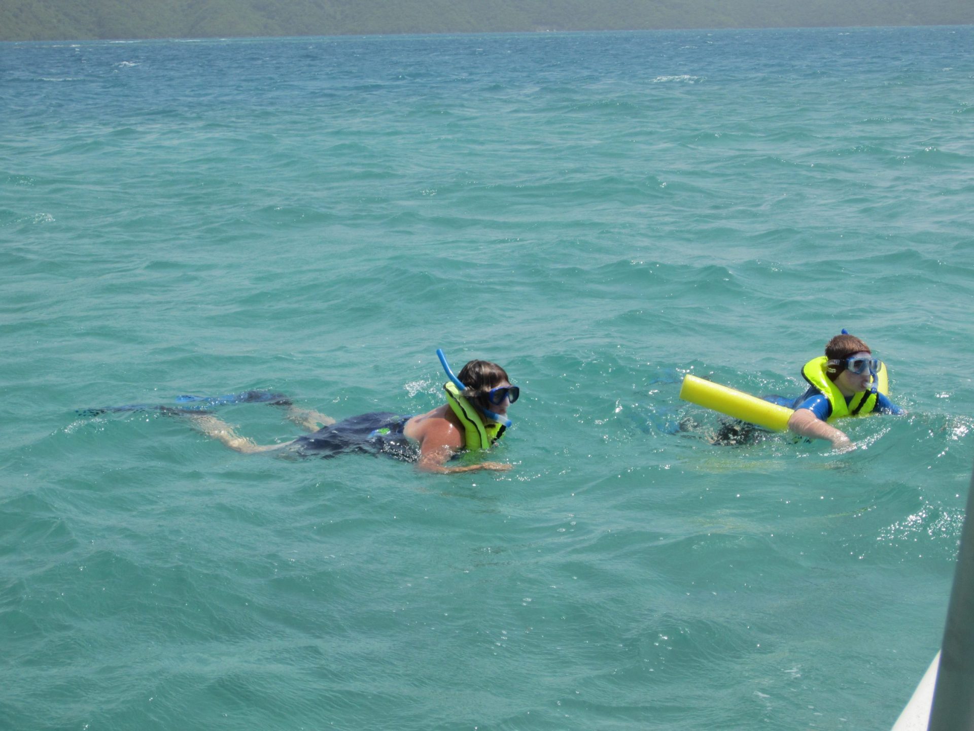 Is the Snorkeling Good in Labadee Haiti? Trickyfish