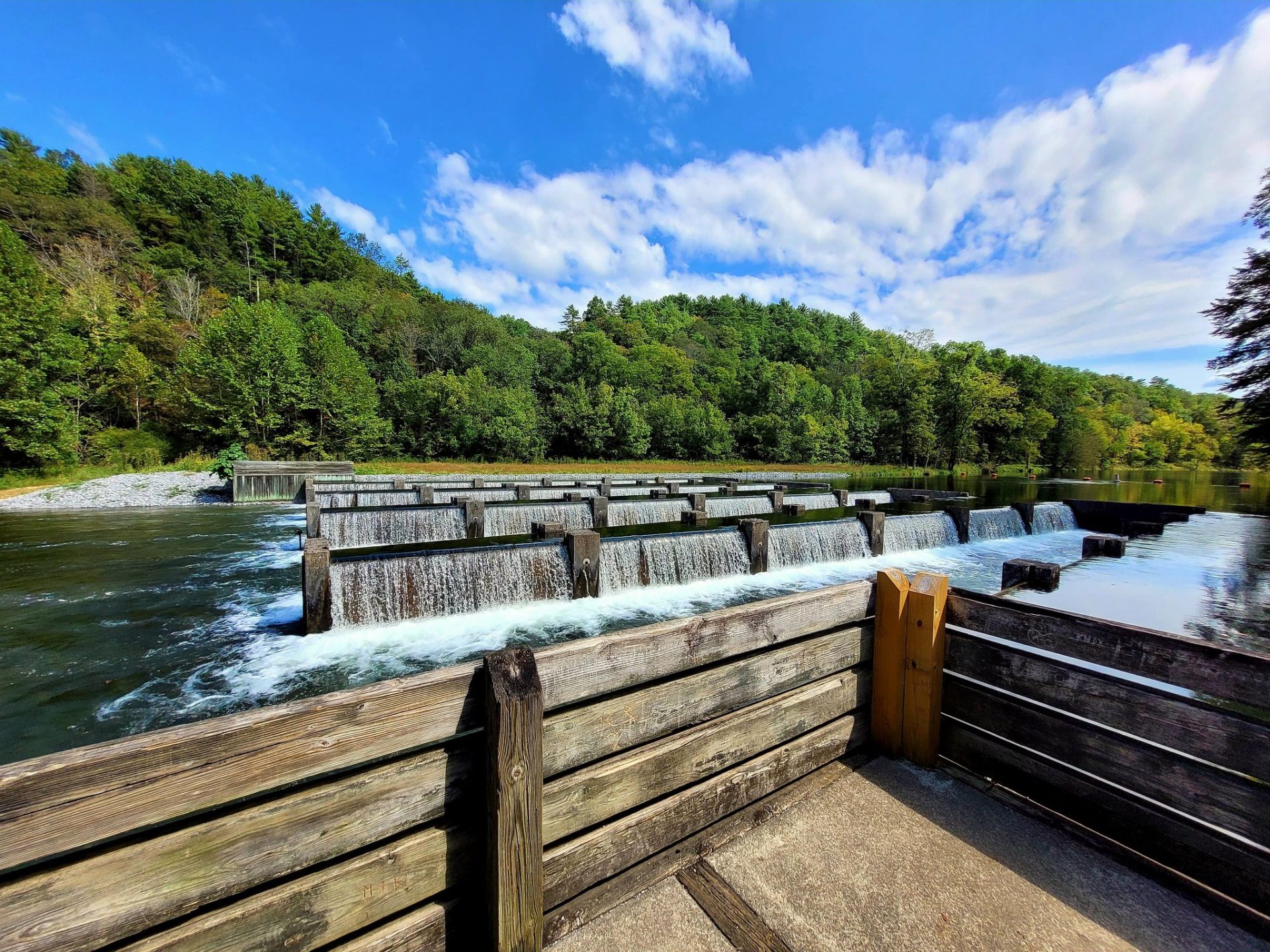 How Is the Fishing on South Holston Lake? Trickyfish